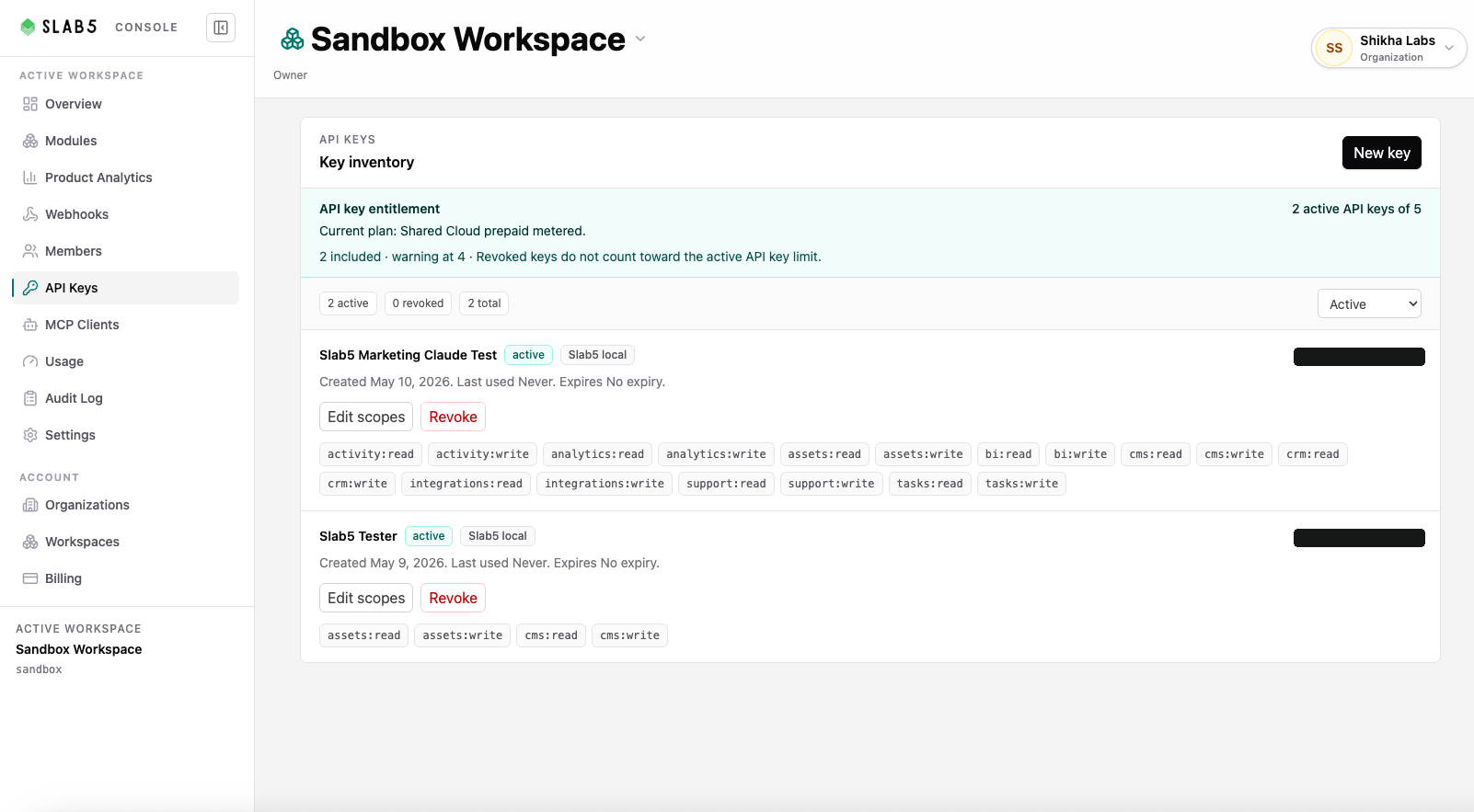 Slab5 API keys screen showing scoped workspace API credentials.